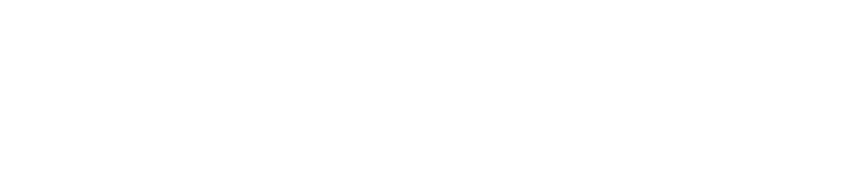LOGO CALMANN LEVY 2016 blanc